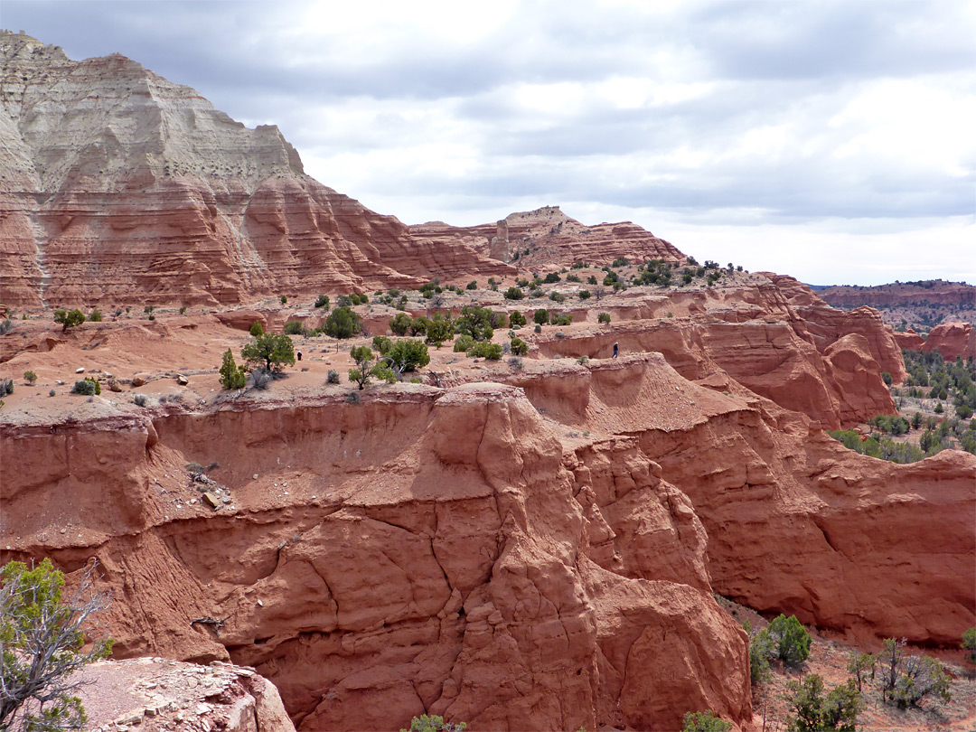 Edge of the cliffs