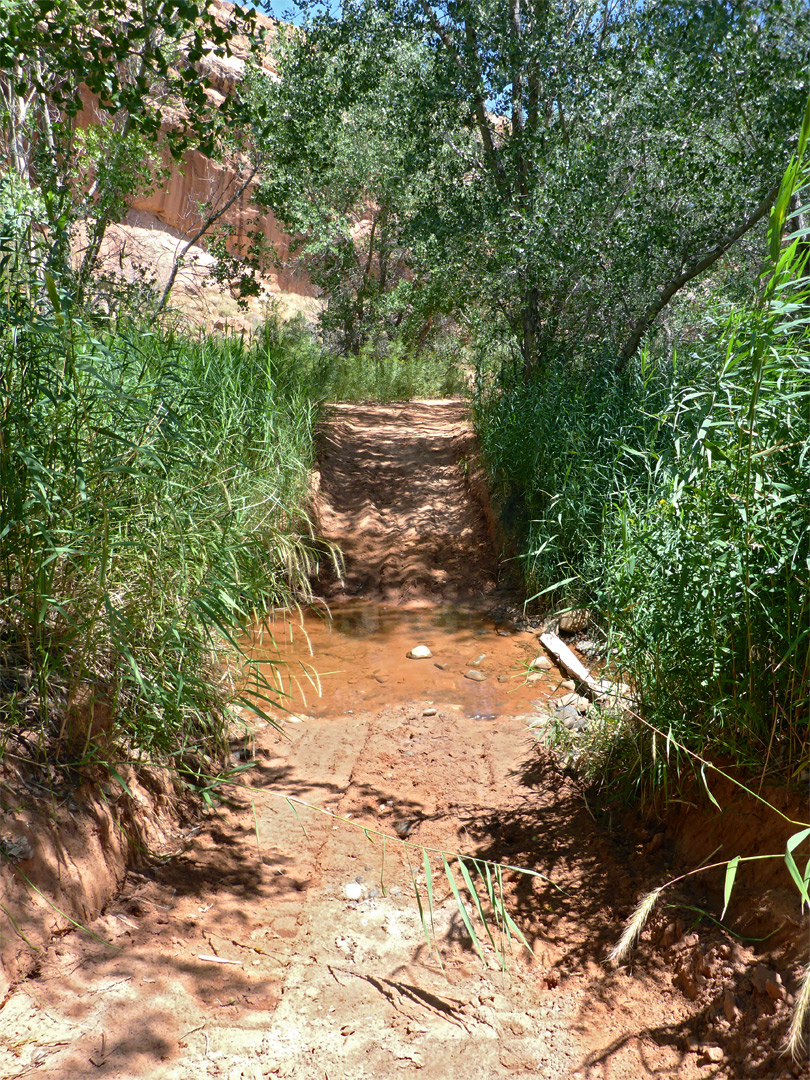 Track across the stream