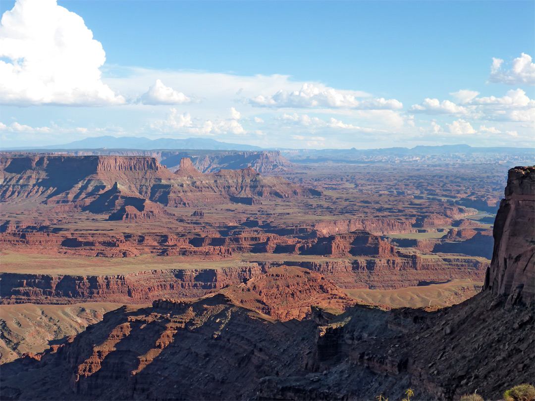 Red rocks