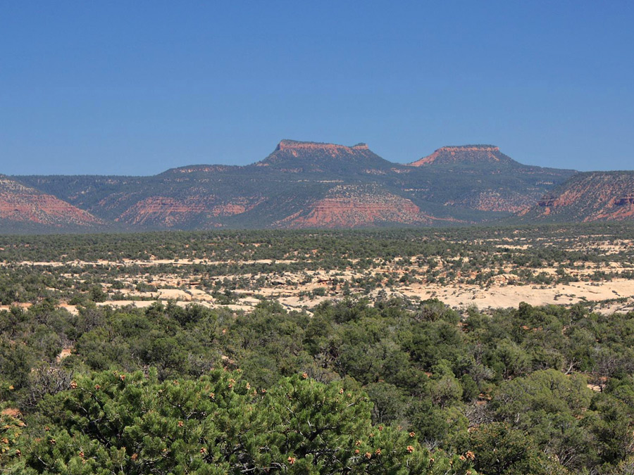 Bears Ears Buttes