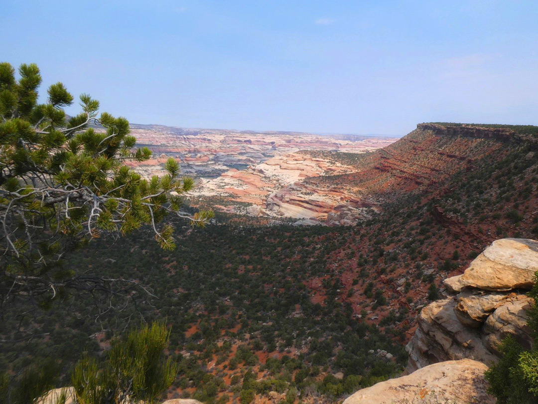 Red rocks