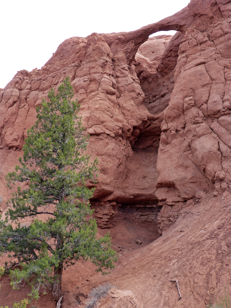 Beneath the arch