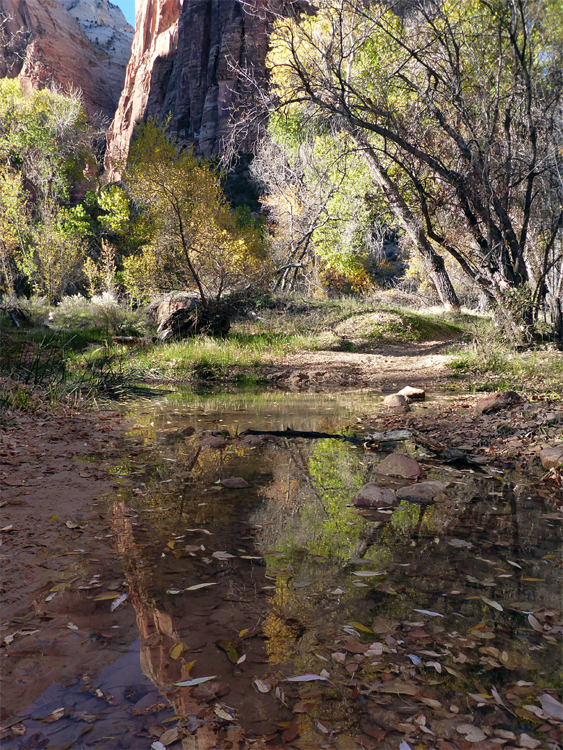 Shallow pool