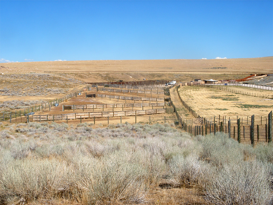 Bison pens