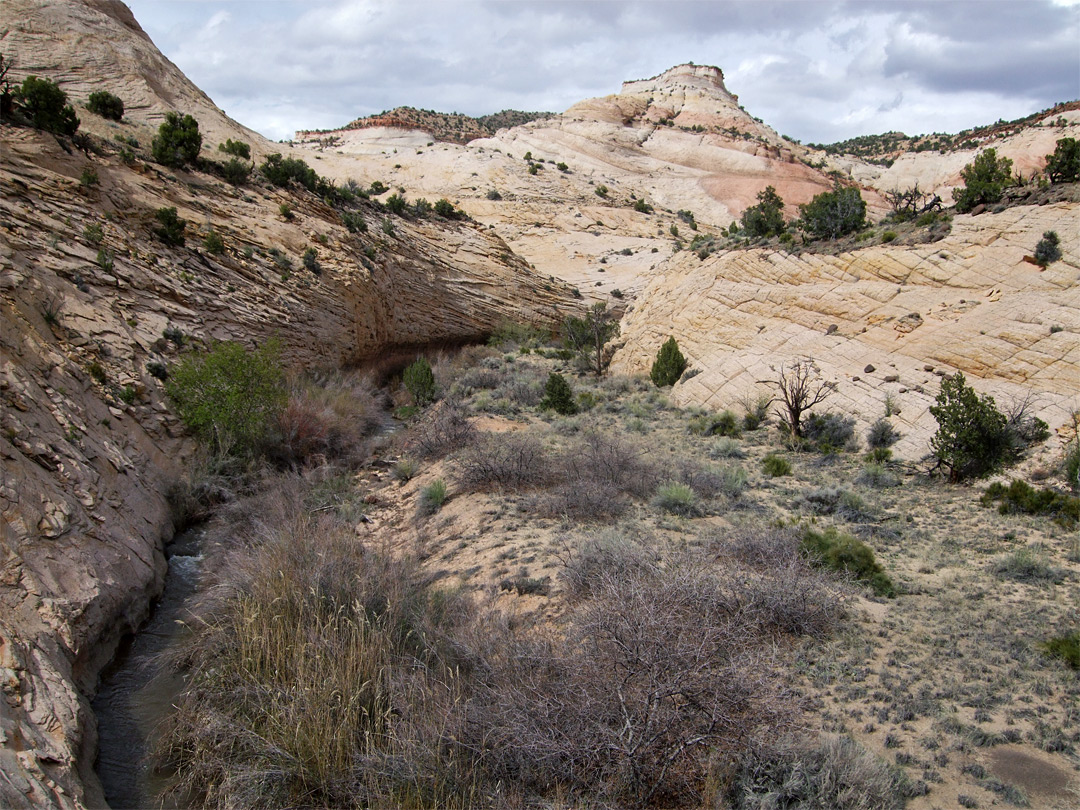 Slickrock slopes