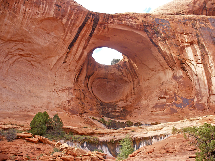 Bowtie Arch