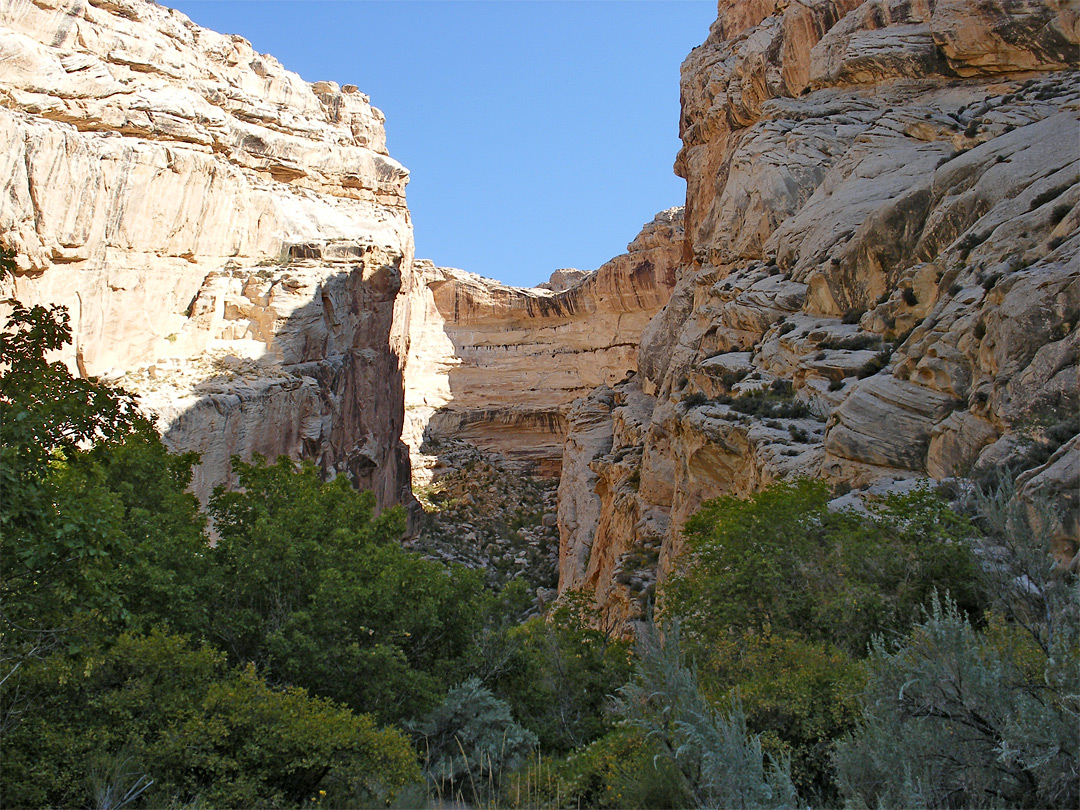 Box Canyon