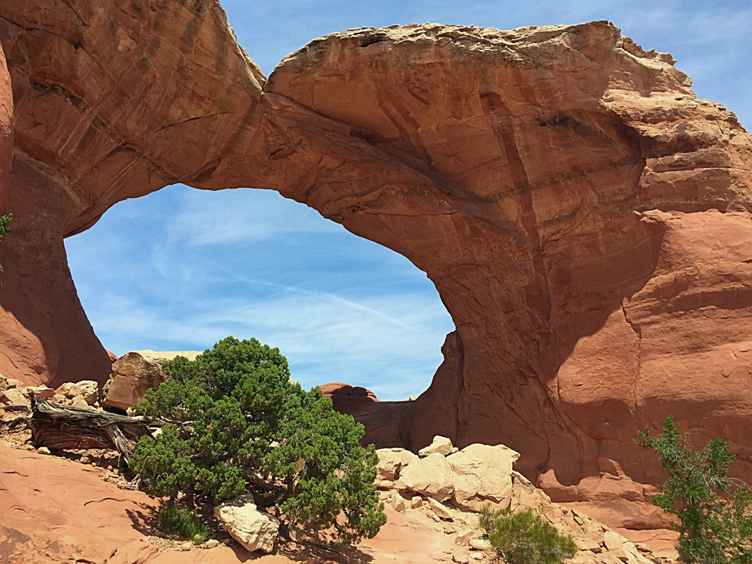 Tree below Broken Arch