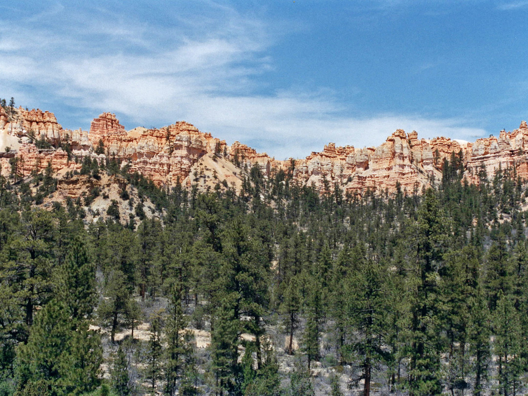 Bryce cliffs; view near Tropic