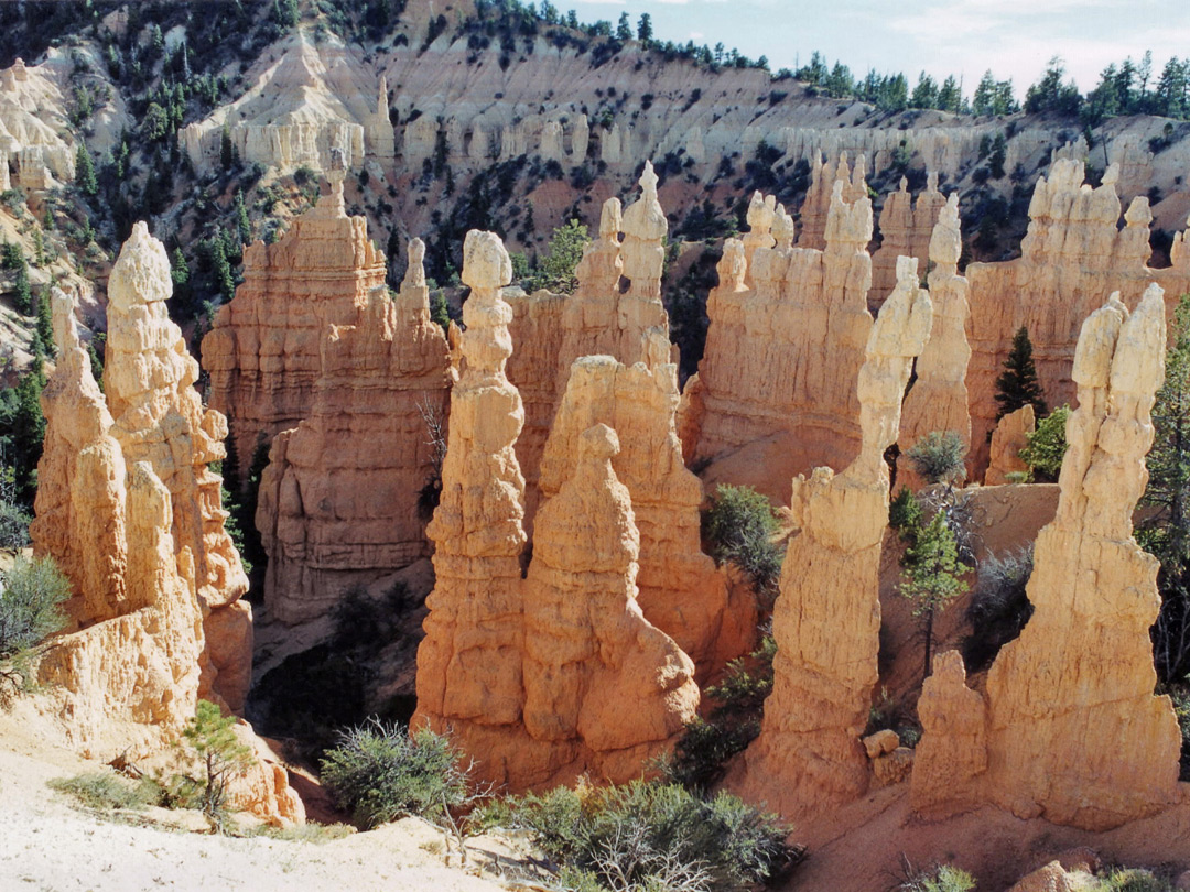 Hoodoos below Fairyland Point