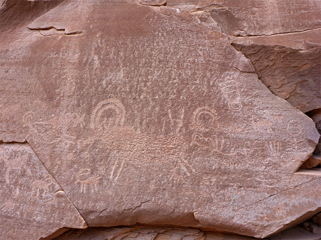 Many petroglyphs