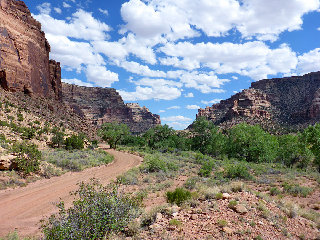 Buckhorn Wash canyon