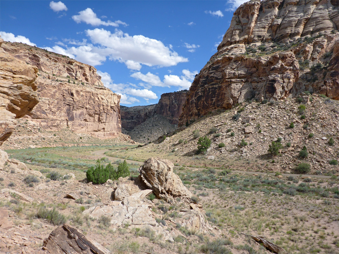 Road alongside Buckhorn Wash