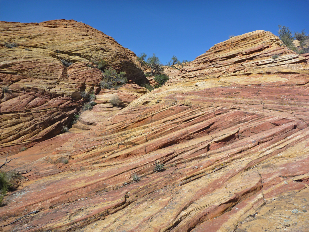 Cross-bedded sandstone