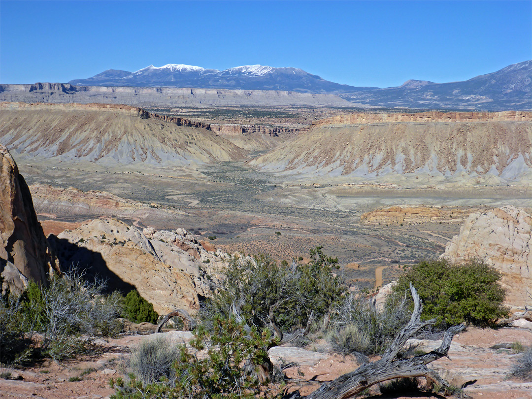 Grand Gulch