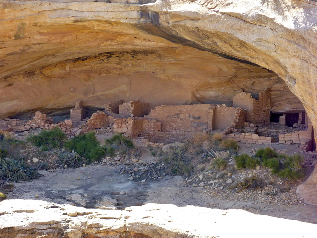 Butler Wash Ruins