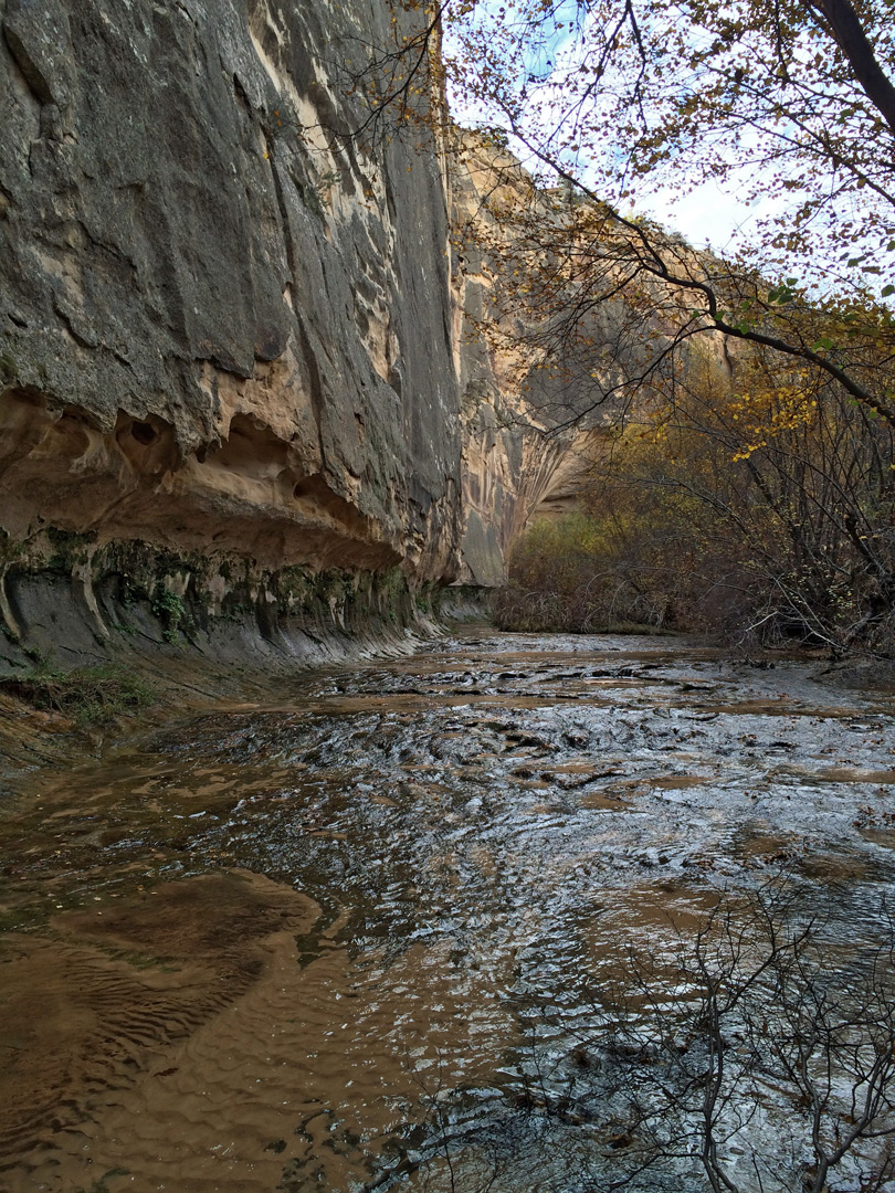 Undercut cliffs