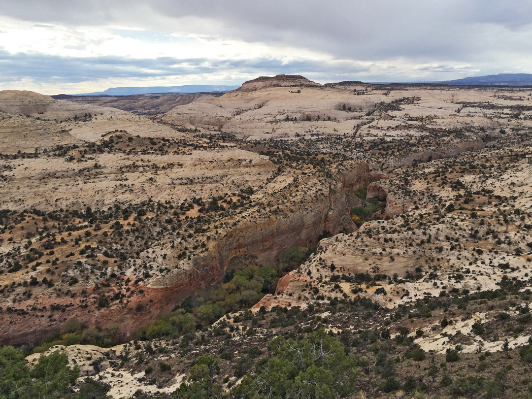 Calf Creek Canyon