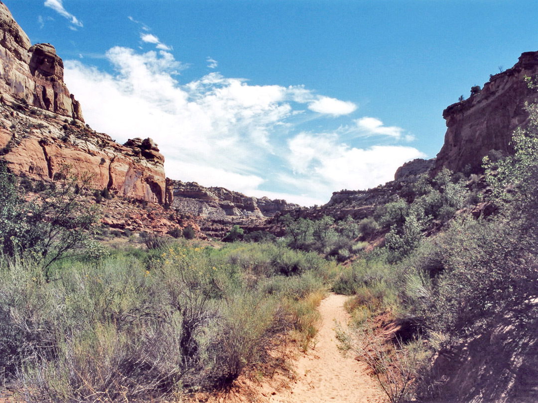 Near the start of the trail