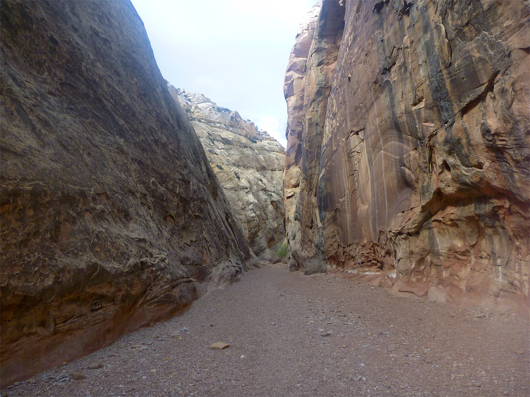 Cliffs of the gorge