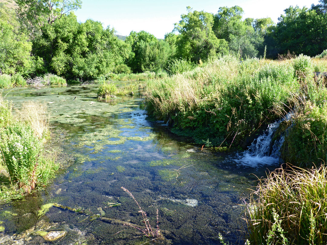 Cascade Springs