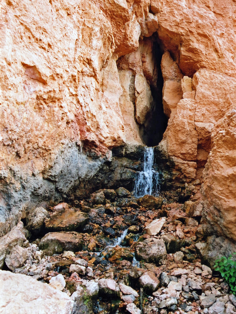 Cascade Falls