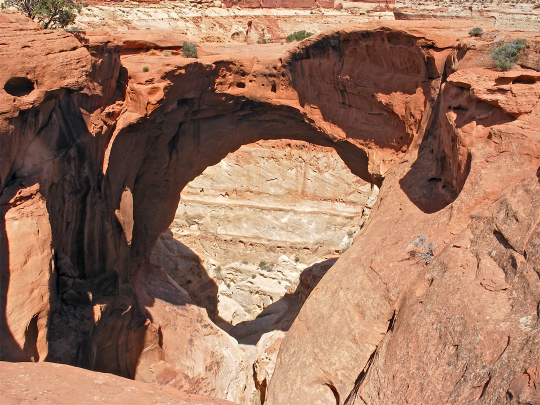 View behind Cassidy Arch