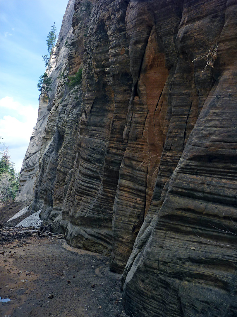 Dark cliffs