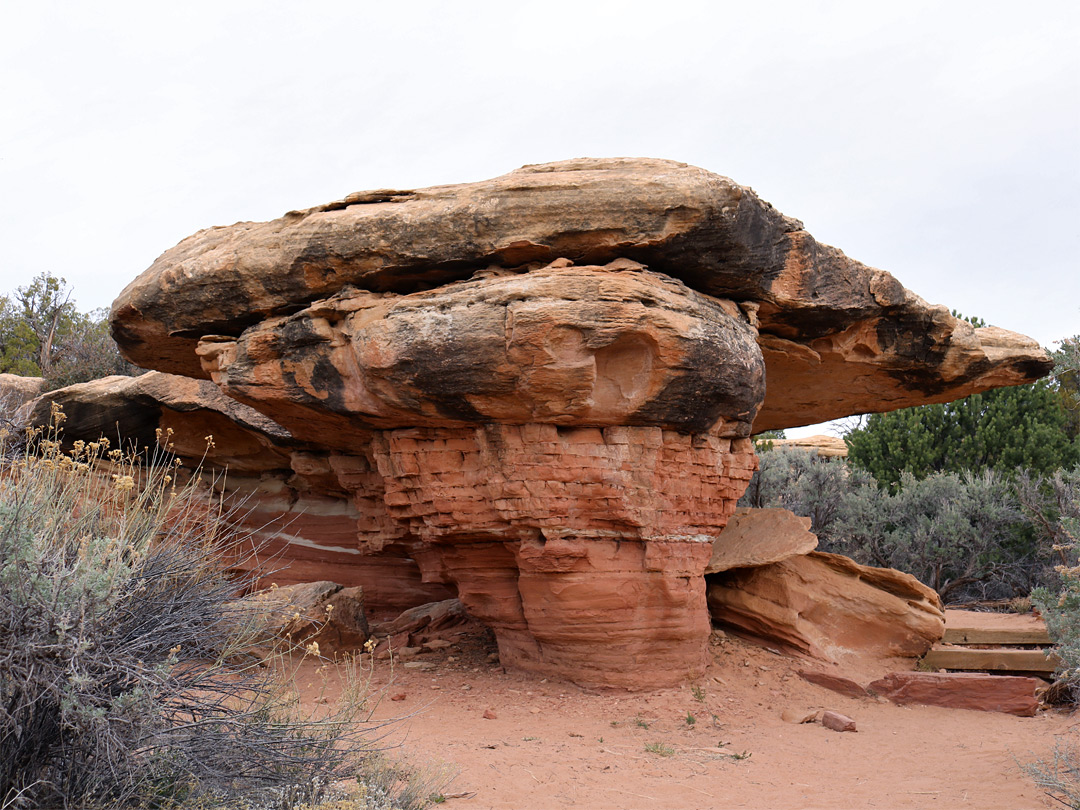 Mushroom rock