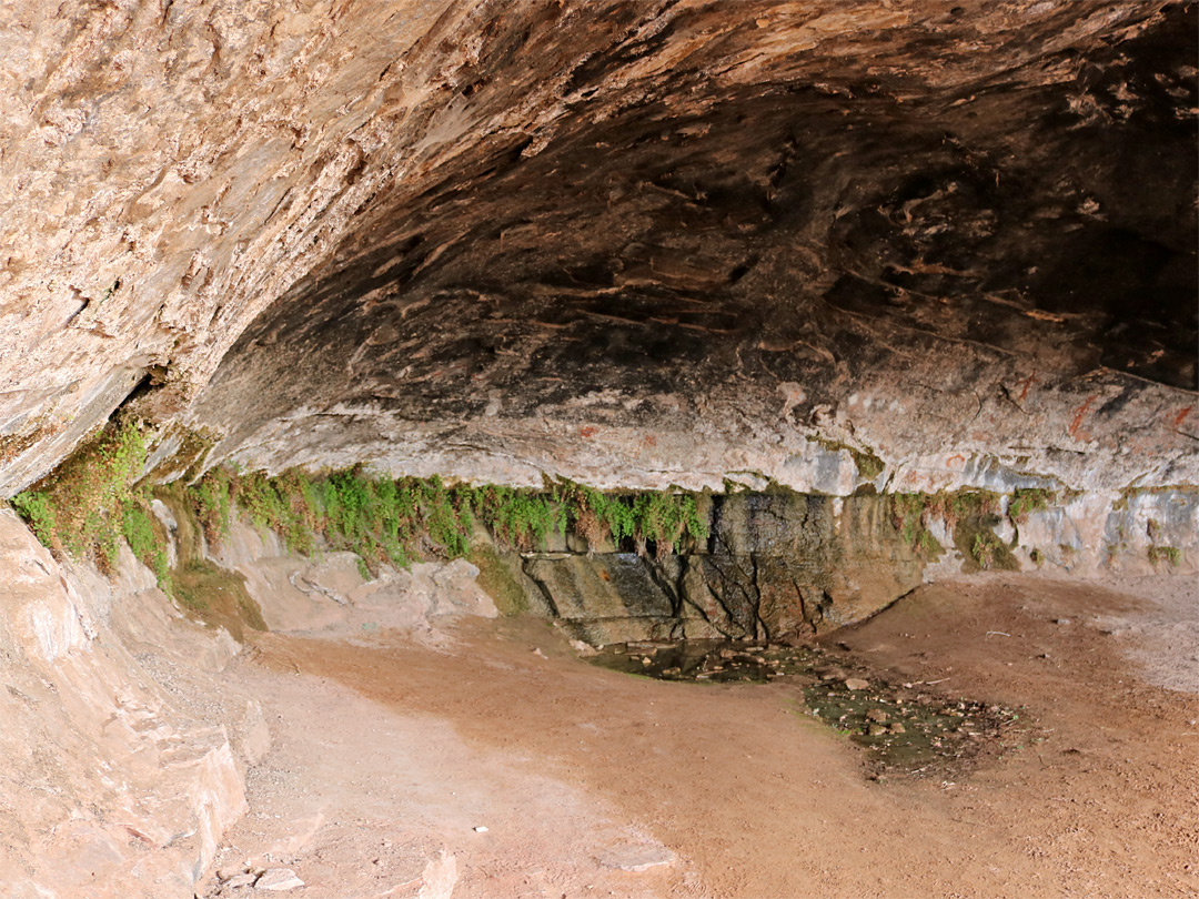 Cave Spring