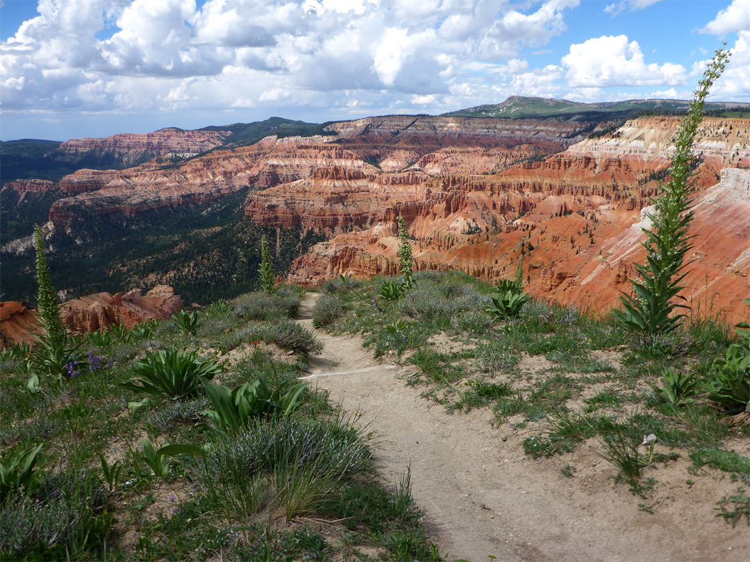 Path to a viewpoint