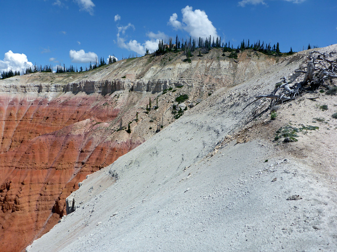 White rim