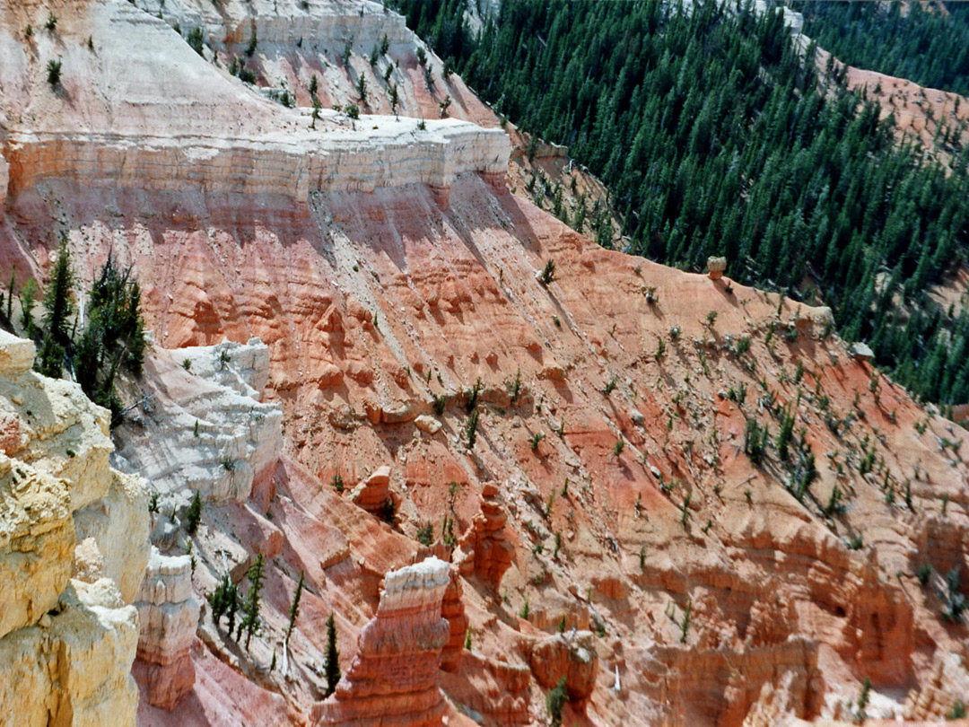 Colors of Cedar Breaks