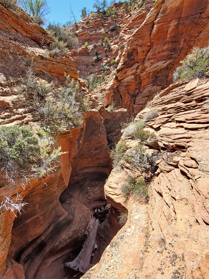 Above the narrows