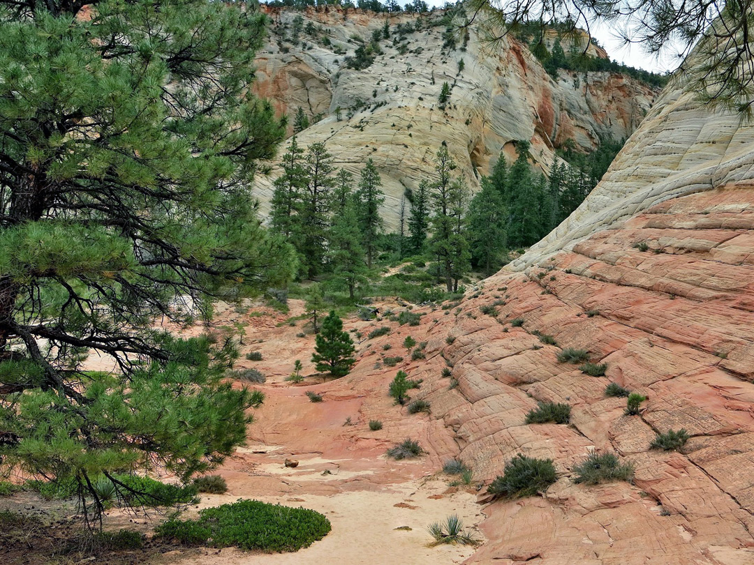 Base of Checkerboard Mesa