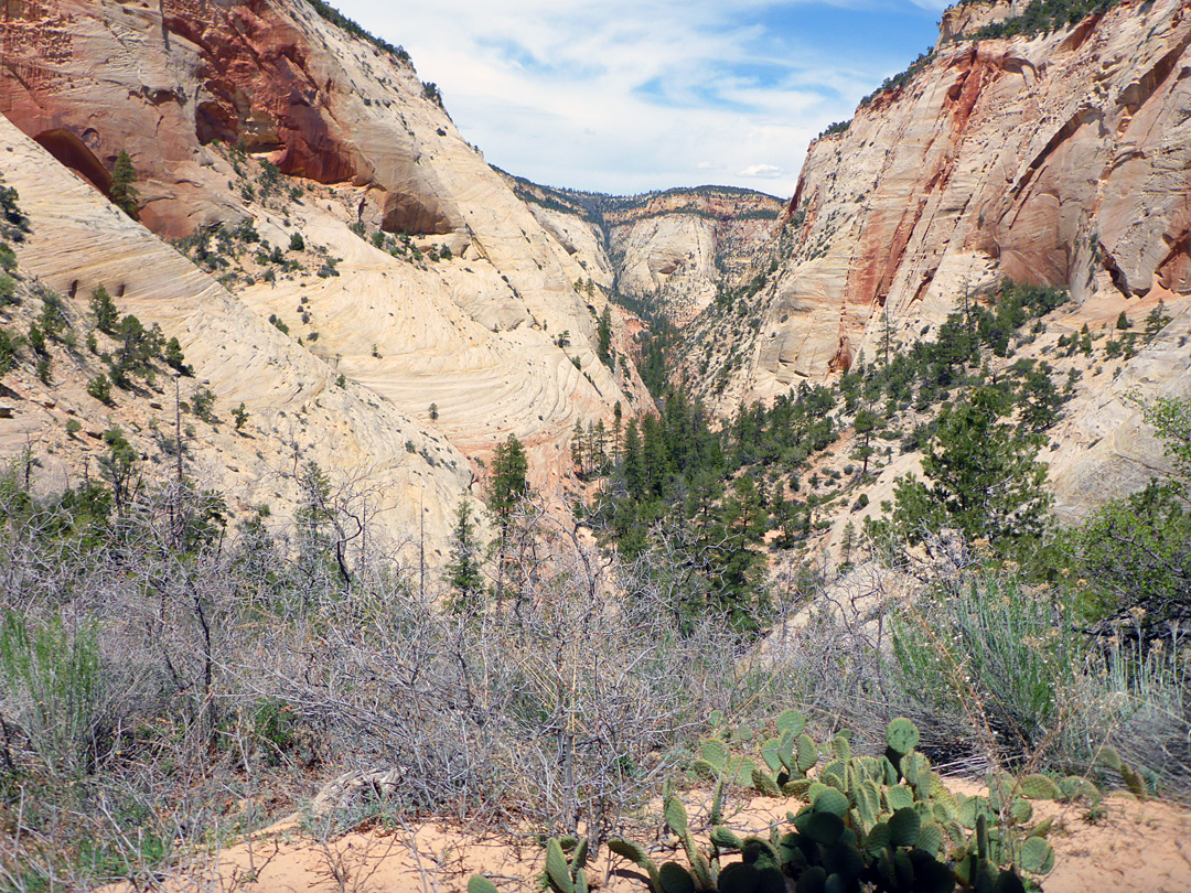 View north from the saddle