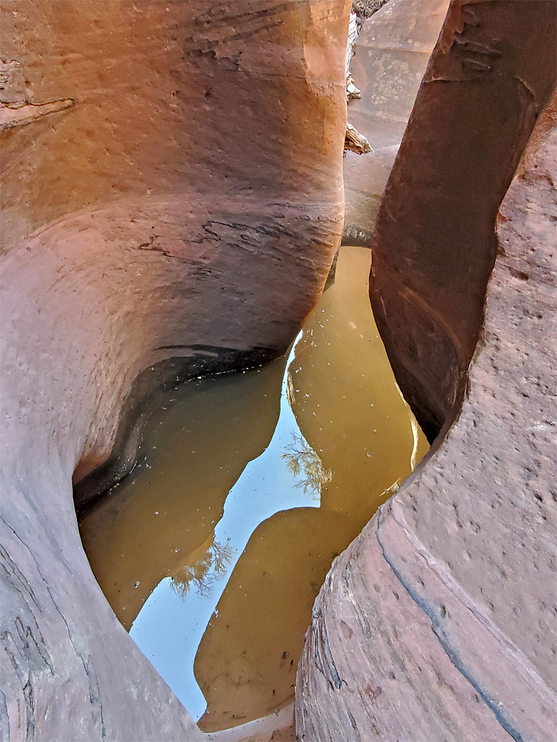 Muddy pool