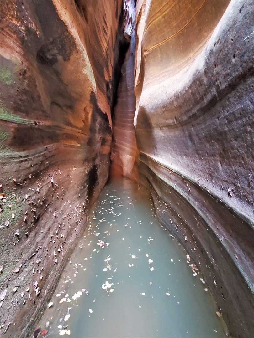 Pool in a slot
