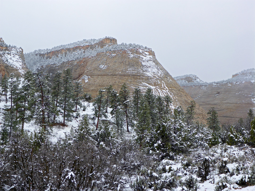 Checkerboard Mesa