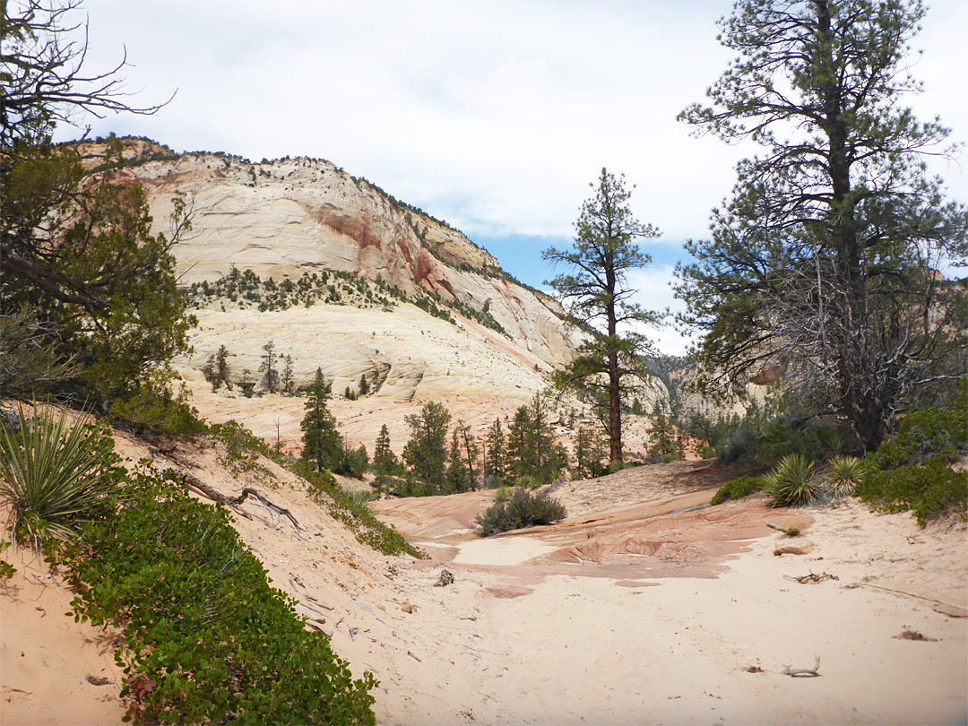 Sandy streambed