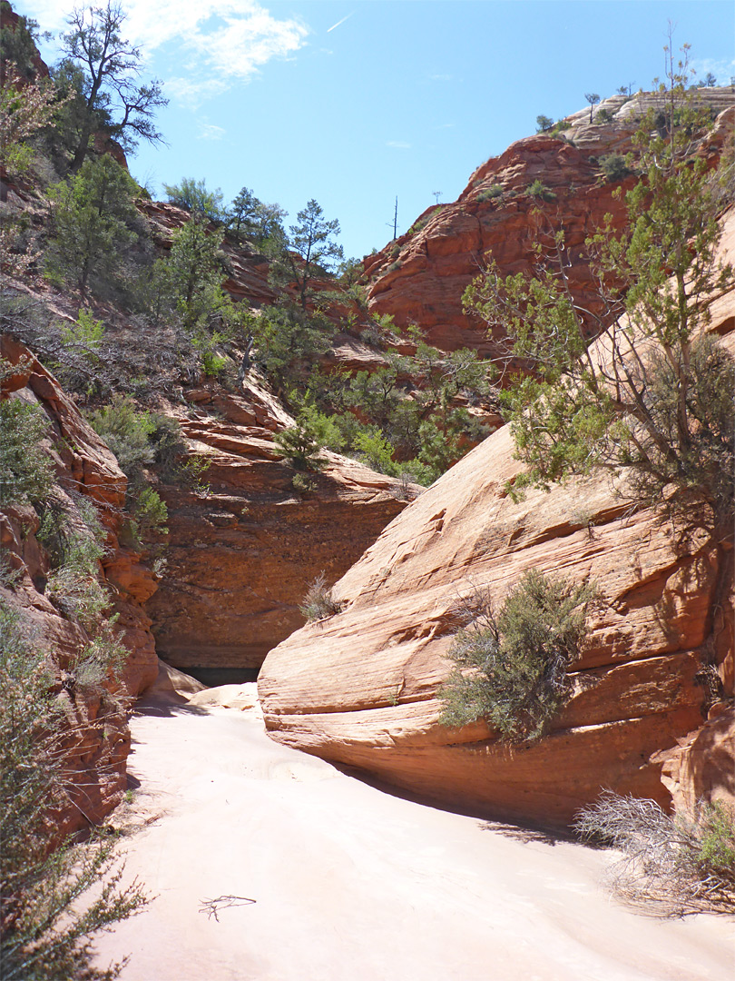 Rocky creekbed