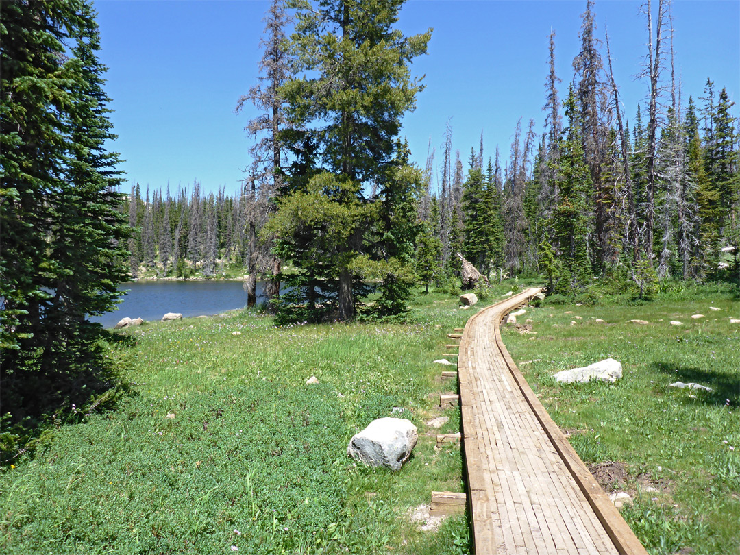 Boardwalk near Cliff Lake