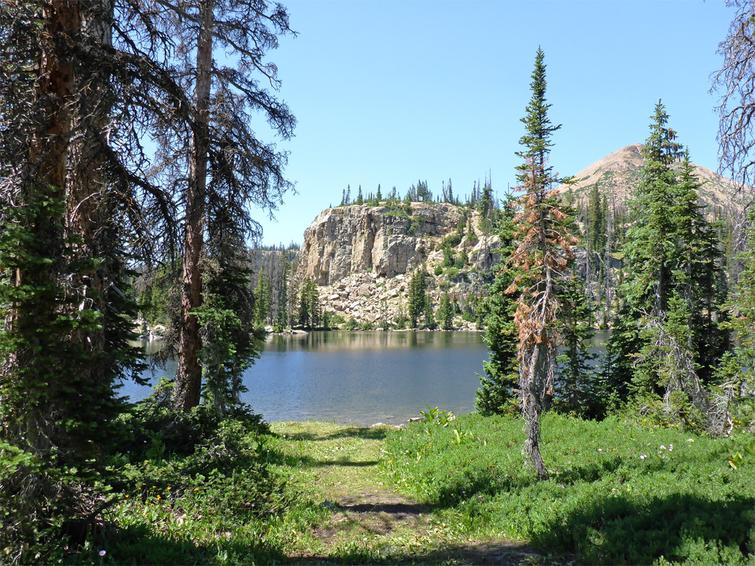 Path to Cliff Lake