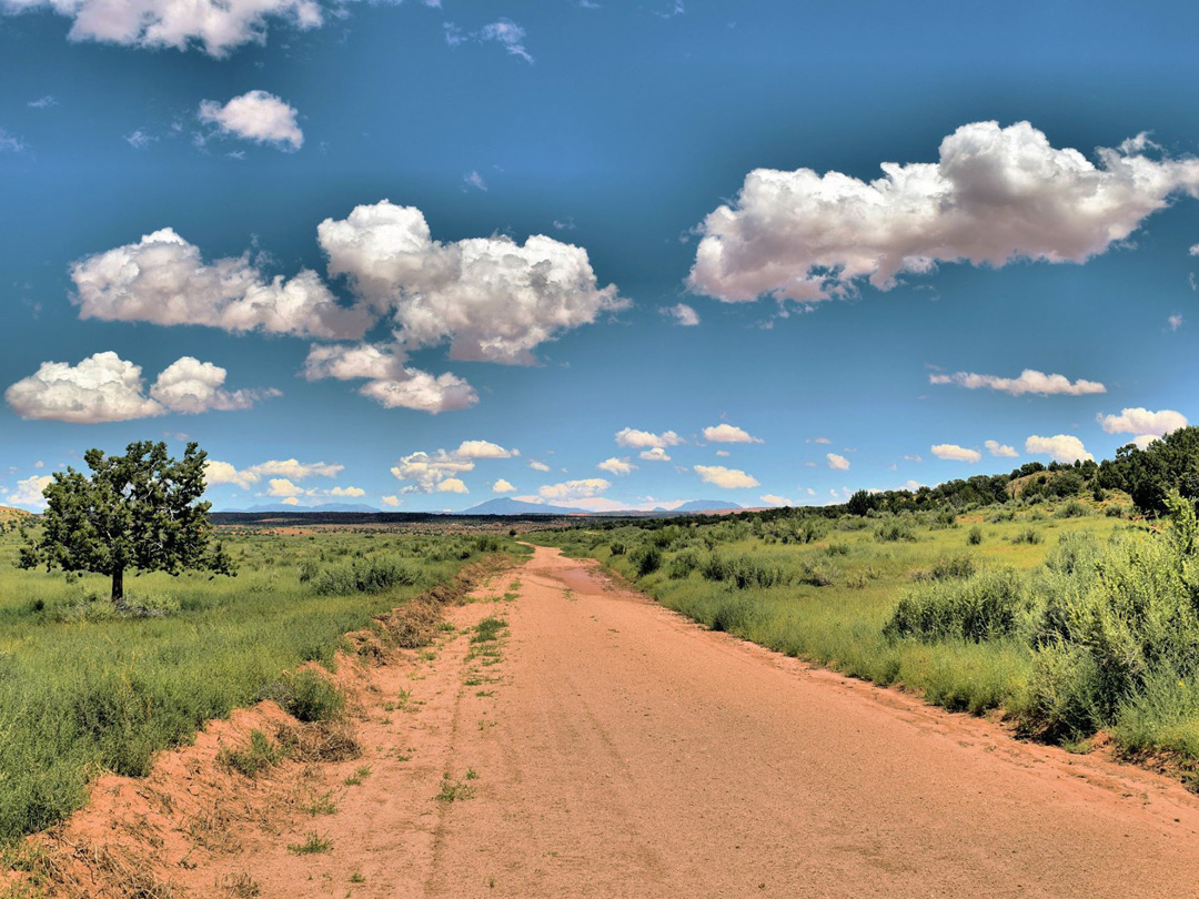 Clouds above the road