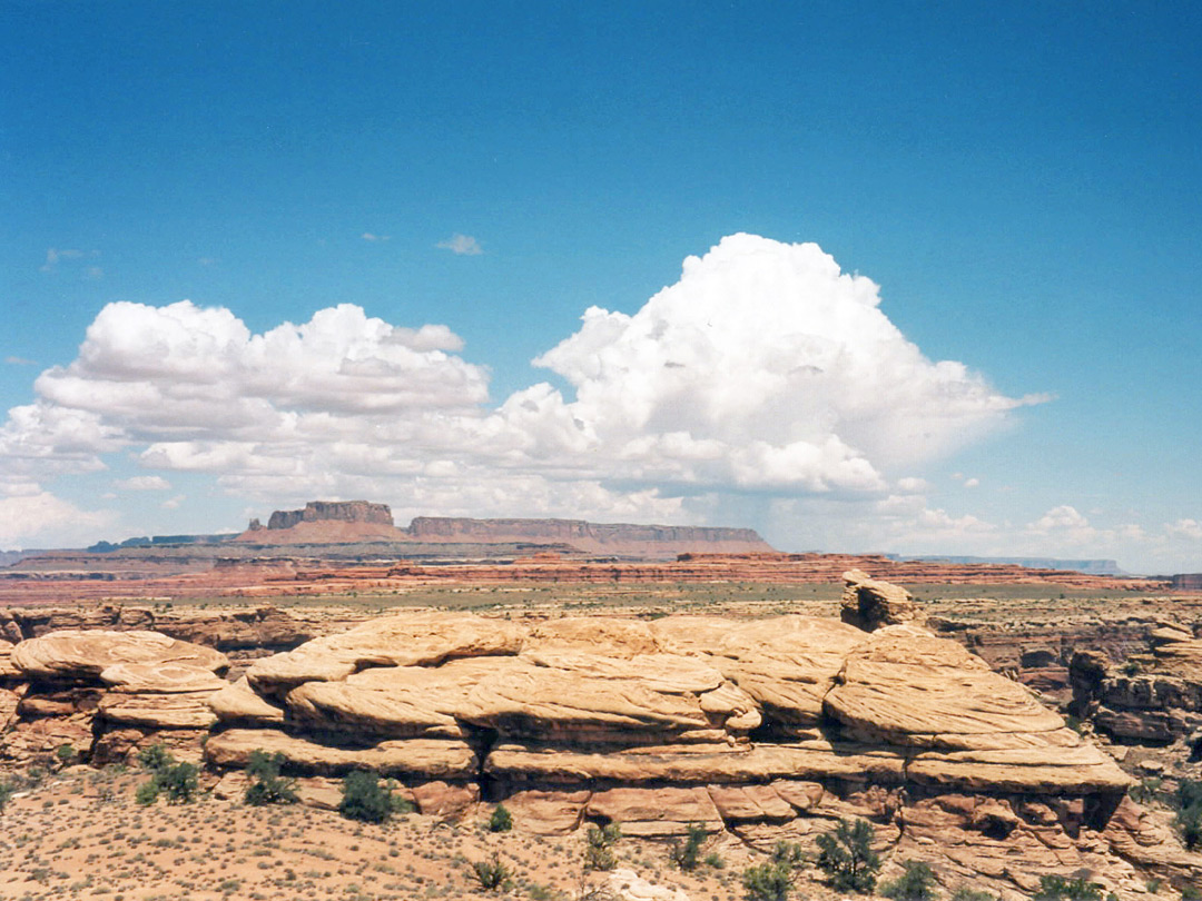 Above the confluence of the Green and Colorado rivers