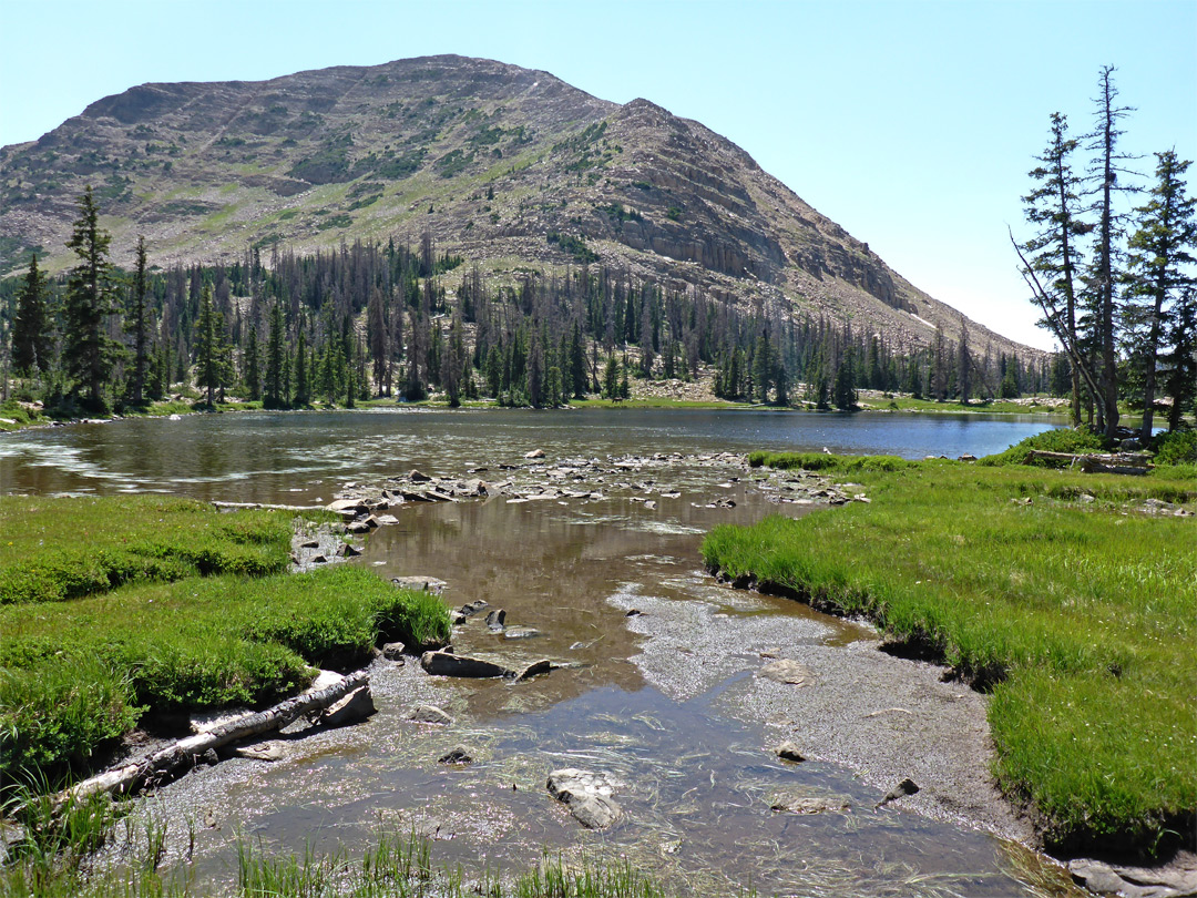 Edge of Clyde Lake