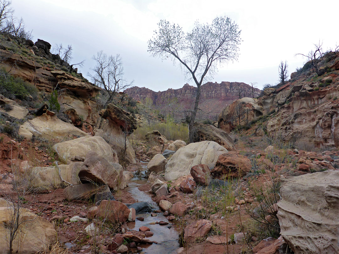 Shallow canyon