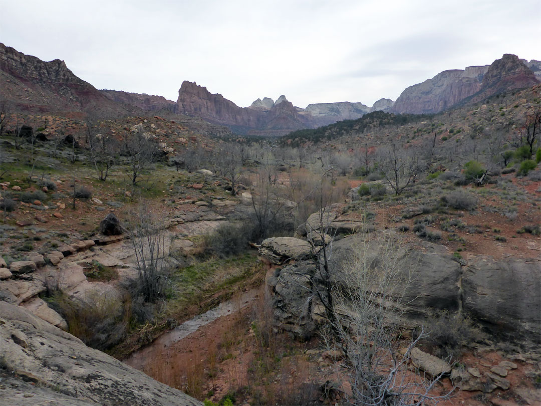 Chinle Trail junction