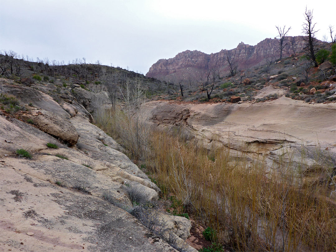 Low cliffs