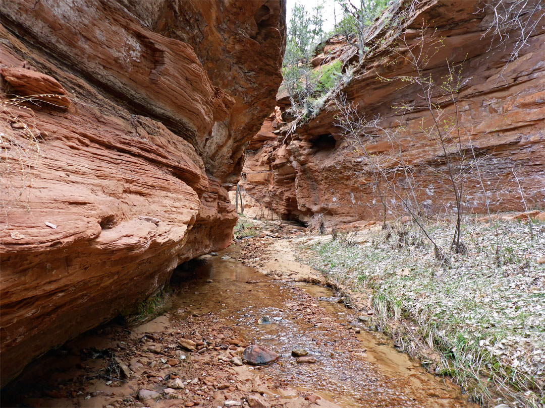 Narrows